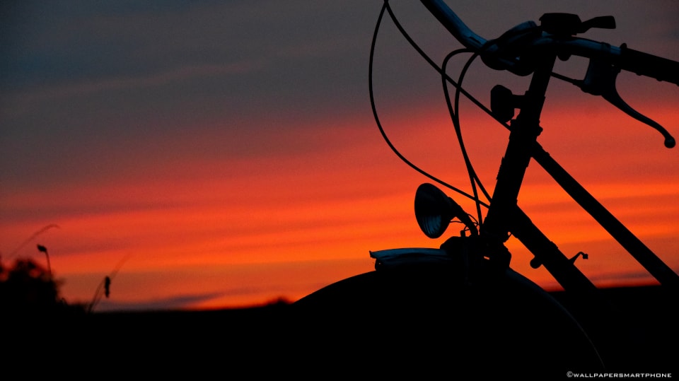 bike tour into the sunset