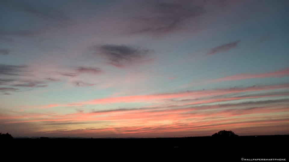 blue & pink