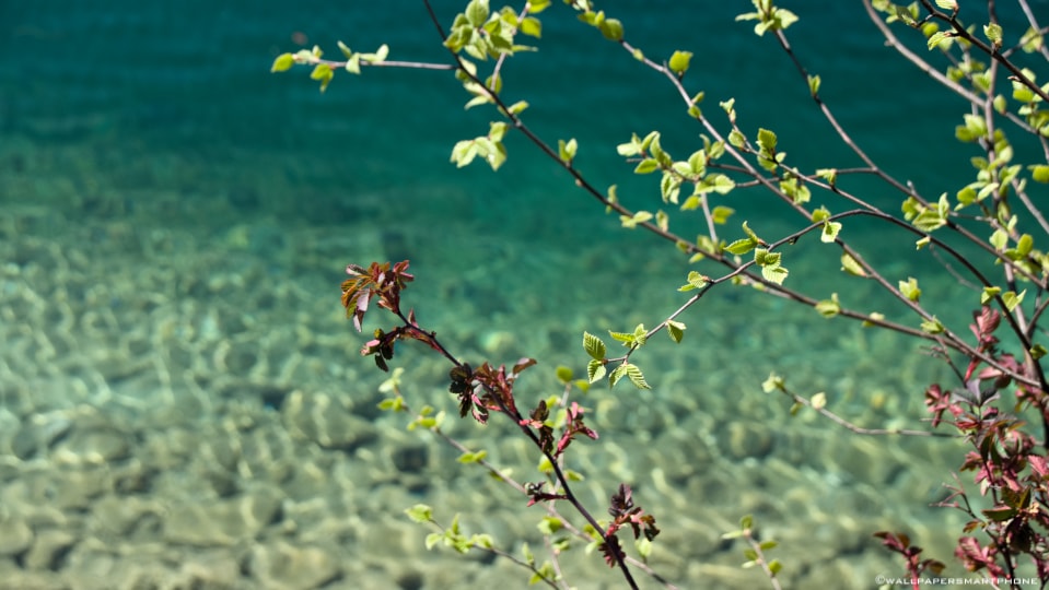 clear water of Eibsee