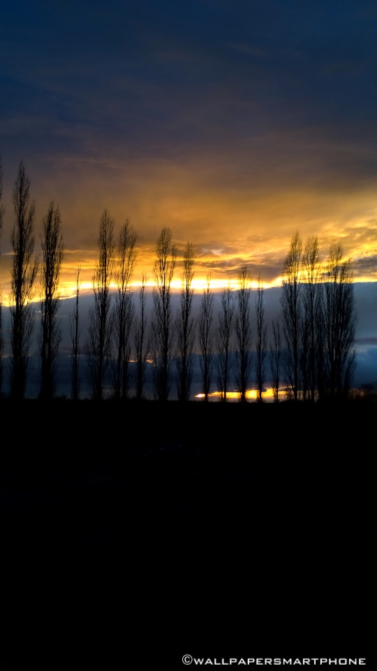 lighted cloud formation at sunset