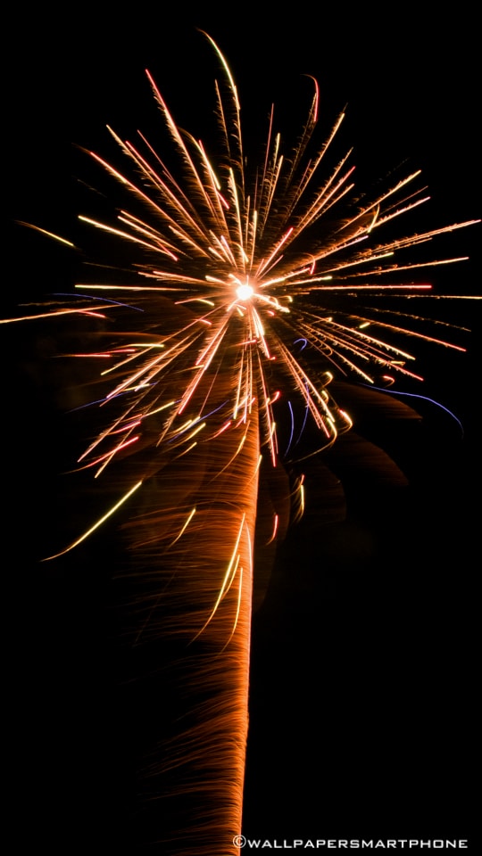 New Year rocket