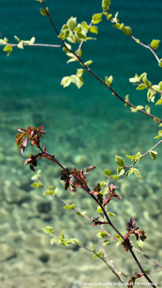 clear water of Eibsee